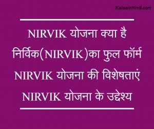 NIRVIK योजना क्या है